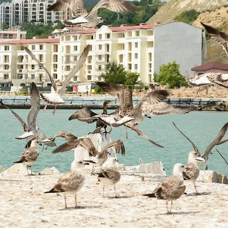 Szálloda Ahilea - Free Pool Access 3*