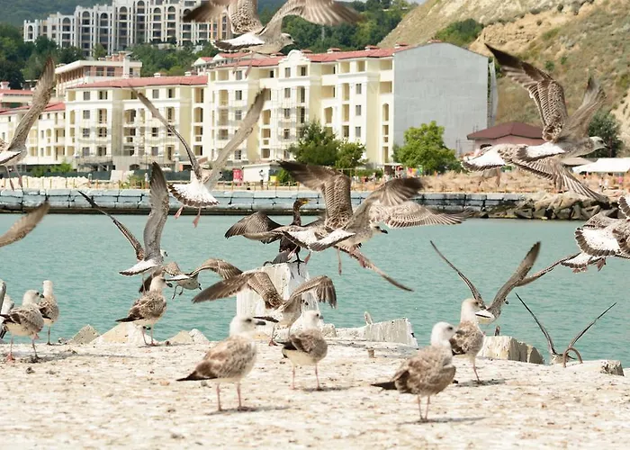 Ξενοδοχείο Ahilea - Free Pool Access 3*